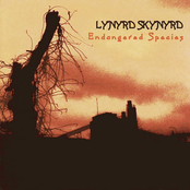 Heartbreak Hotel by Lynyrd Skynyrd