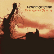 The Last Rebel by Lynyrd Skynyrd