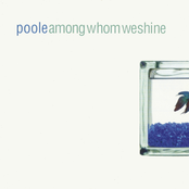 Among Whom We Shine by Poole