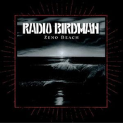 You Just Make It Worse by Radio Birdman