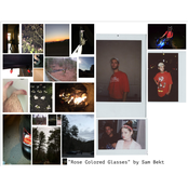 Rose Colored Glasses