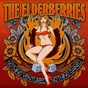 Shoot For The Money by The Elderberries