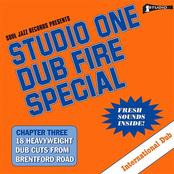 Soul Jazz Records Presents Studio One Dub Fire Special