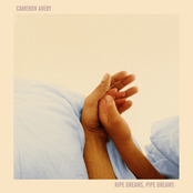 Cameron Avery: Wasted On Fidelity