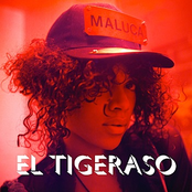 El Tigeraso by Maluca