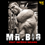 Mr. Big
