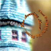 A Small Portion of the Big Picture