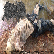 Slaughtered Human Remains into Reeking and Putrefied Pile of Rotten Bones and Flesh