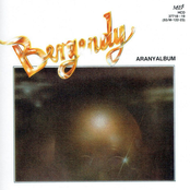 Aranyalbum (1971-1975)