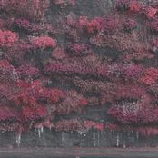 Sleep Token: Even In Arcadia