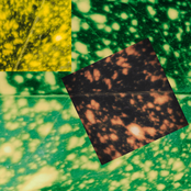 Talking Is A Muscle Movement Too Tense