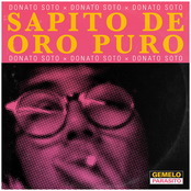 Sapito de oro puro