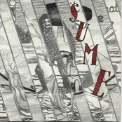 Sume 1973-76
