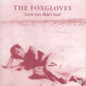 Lives You Didn't Lead EP