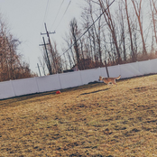 When you leave, I'll be fine