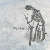 Wandering