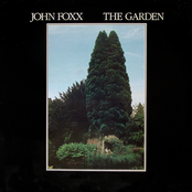 This Jungle by John Foxx