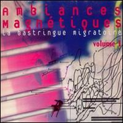 Ambiances Magnétiques - La Bastringue Migratoire (Volume 1)