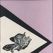 Neverending Somersault