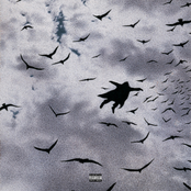 I Came From Nobody Likes Me To Nobody Like Me