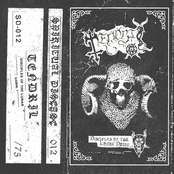 Disciples of the Lunar Dawn