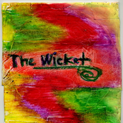 the wicket