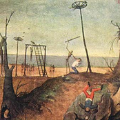 Skeletons