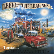 Enkelinhöyheniä Ikkunalaudalla by Leevi And The Leavings