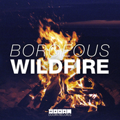 Borgeous: Wildfire