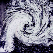 Life.Sound.Alteration.None