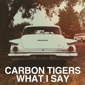 What I Say by Carbon Tigers