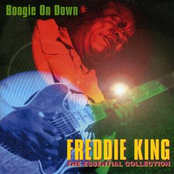 Guitar Blues by Freddie King