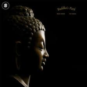 Siddharthas Echoes