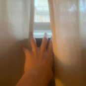 death and the miser by hieronymus bosch