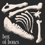 Box of Bones
