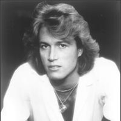 andy gibb