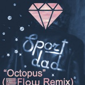 Octopus (Flow Remix)