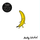 The Velvet Underground & Nico by Castle Face and Friends