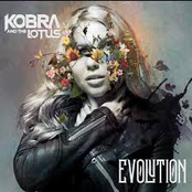 Evolution