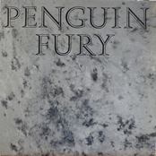Penguin Fury