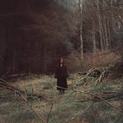 In My House / Like A Thorn