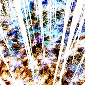LZY_SLN-002