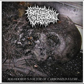 Malodorous Foetor of Carbonized Flesh