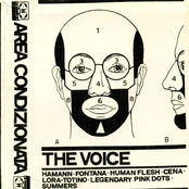 Area Condizionata 2 (The Voice/La Voce)