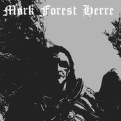 Mork Forest Derre