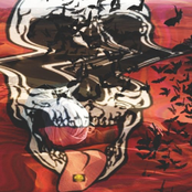 Bad Acid & Dead Cactus