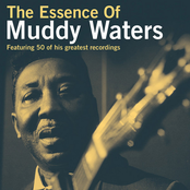 Mad Love by Muddy Waters