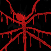 ☆☆ὤὤSH1NE☽☽ST4Rὤὤ☆☆