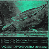 Tides of The Paleo-Tethys Ocean