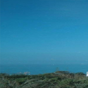 At least we're in this raft together, I don't mind that you aren't great at the mini games